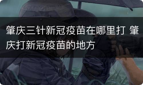 肇庆三针新冠疫苗在哪里打 肇庆打新冠疫苗的地方