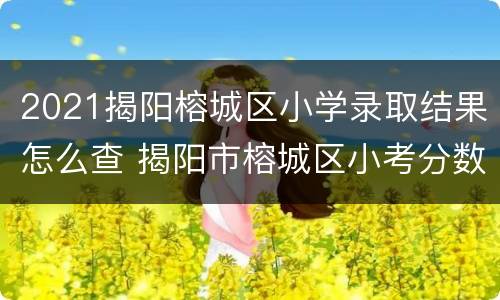 2021揭阳榕城区小学录取结果怎么查 揭阳市榕城区小考分数出来了吗