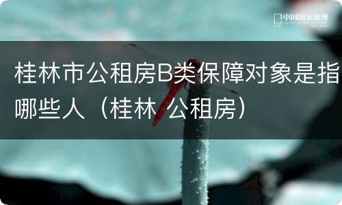 桂林市公租房B类保障对象是指哪些人（桂林 公租房）