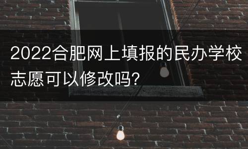 2022合肥网上填报的民办学校志愿可以修改吗？
