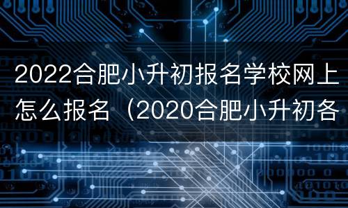 2022合肥小升初报名学校网上怎么报名（2020合肥小升初各个学校报名时间）