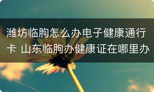 潍坊临朐怎么办电子健康通行卡 山东临朐办健康证在哪里办电话