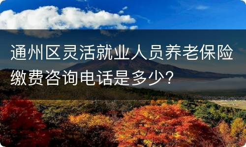 通州区灵活就业人员养老保险缴费咨询电话是多少?