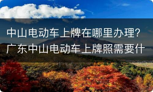 中山电动车上牌在哪里办理? 广东中山电动车上牌照需要什么手续