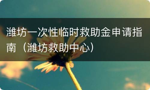 潍坊一次性临时救助金申请指南（潍坊救助中心）