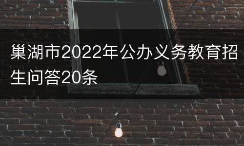 巢湖市2022年公办义务教育招生问答20条