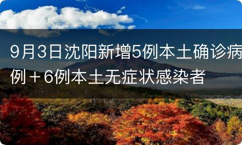 9月3日沈阳新增5例本土确诊病例＋6例本土无症状感染者