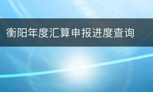 衡阳年度汇算申报进度查询