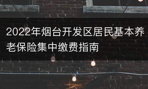 2022年烟台开发区居民基本养老保险集中缴费指南
