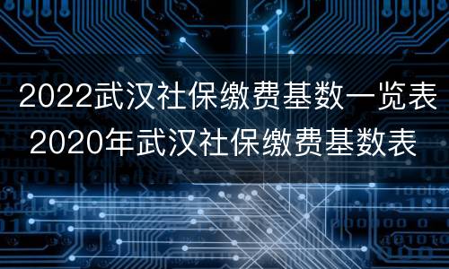 2022武汉社保缴费基数一览表 2020年武汉社保缴费基数表