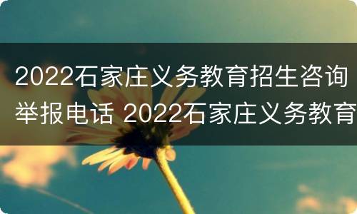 2022石家庄义务教育招生咨询举报电话 2022石家庄义务教育招生咨询举报电话