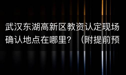 武汉东湖高新区教资认定现场确认地点在哪里？（附提前预约要求）