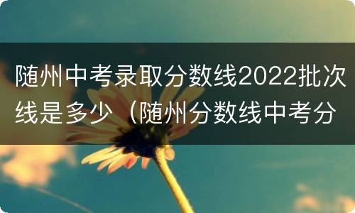 随州中考录取分数线2022批次线是多少（随州分数线中考分数线2020）