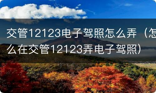交管12123电子驾照怎么弄（怎么在交管12123弄电子驾照）