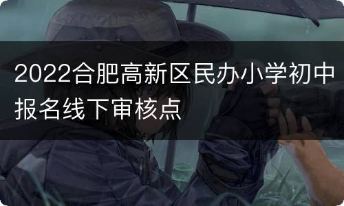 2022合肥高新区民办小学初中报名线下审核点