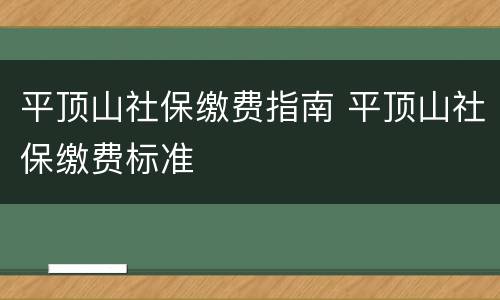 平顶山社保缴费指南 平顶山社保缴费标准