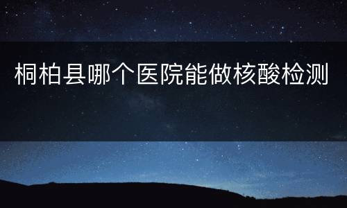 桐柏县哪个医院能做核酸检测