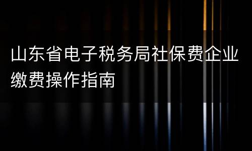 山东省电子税务局社保费企业缴费操作指南