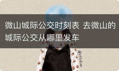 微山城际公交时刻表 去微山的城际公交从哪里发车