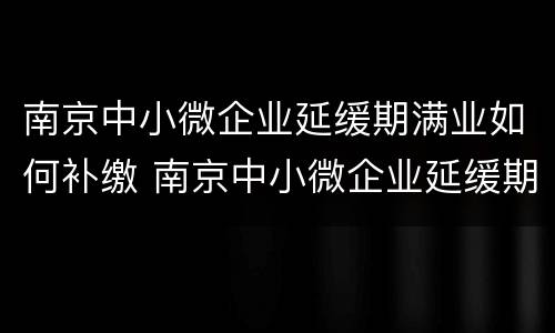 南京中小微企业延缓期满业如何补缴 南京中小微企业延缓期满业如何补缴增值税