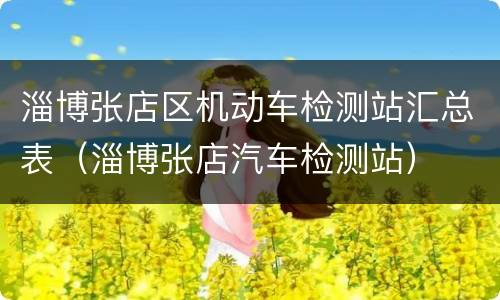 淄博张店区机动车检测站汇总表（淄博张店汽车检测站）