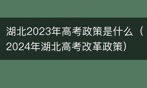 湖北2023年高考政策是什么（2024年湖北高考改革政策）