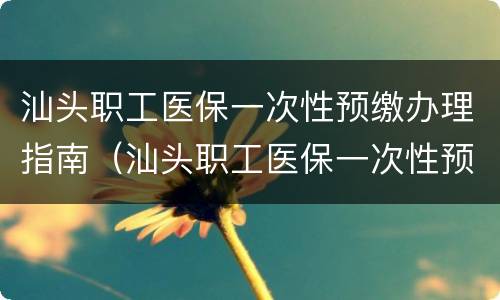 汕头职工医保一次性预缴办理指南（汕头职工医保一次性预缴办理指南最新）