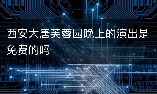 西安大唐芙蓉园晚上的演出是免费的吗