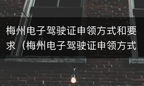 梅州电子驾驶证申领方式和要求（梅州电子驾驶证申领方式和要求是什么）