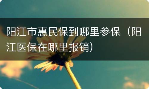 阳江市惠民保到哪里参保（阳江医保在哪里报销）