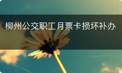 柳州公交职工月票卡损坏补办