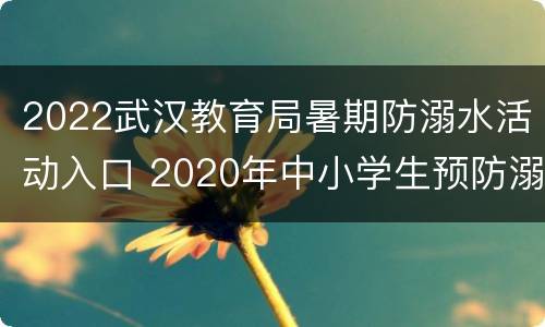 2022武汉教育局暑期防溺水活动入口 2020年中小学生预防溺水专题教育平台