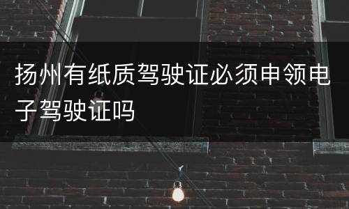 扬州有纸质驾驶证必须申领电子驾驶证吗