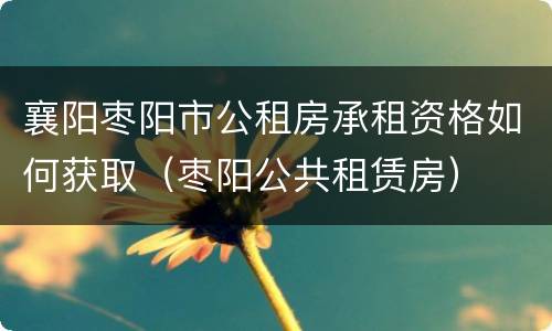 襄阳枣阳市公租房承租资格如何获取（枣阳公共租赁房）