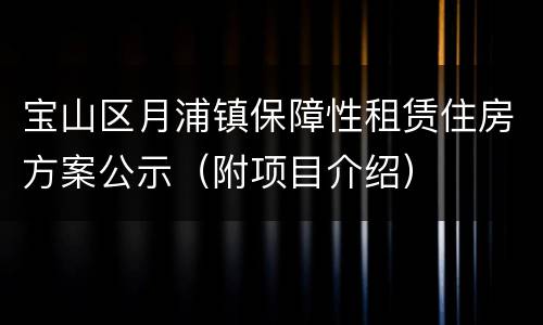 宝山区月浦镇保障性租赁住房方案公示（附项目介绍）