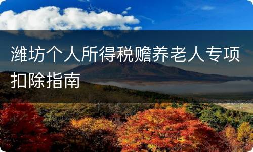 潍坊个人所得税赡养老人专项扣除指南