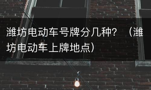 潍坊电动车号牌分几种？（潍坊电动车上牌地点）