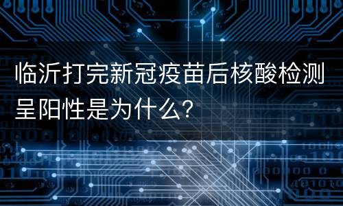 临沂打完新冠疫苗后核酸检测呈阳性是为什么？