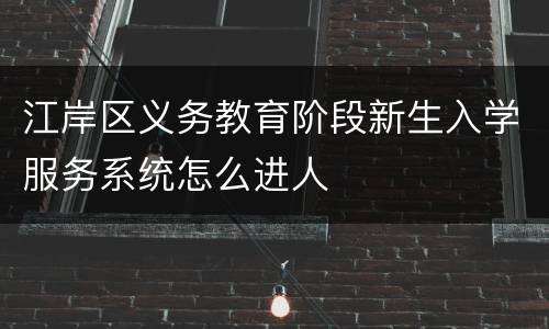 江岸区义务教育阶段新生入学服务系统怎么进人