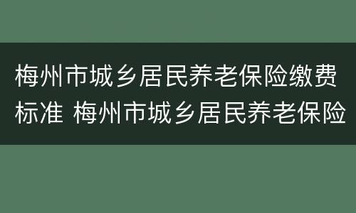 梅州市城乡居民养老保险缴费标准 梅州市城乡居民养老保险缴费标准表
