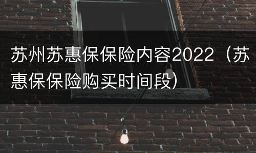 苏州苏惠保保险内容2022（苏惠保保险购买时间段）