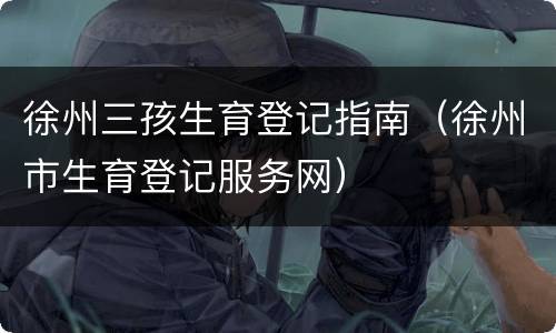 徐州三孩生育登记指南（徐州市生育登记服务网）