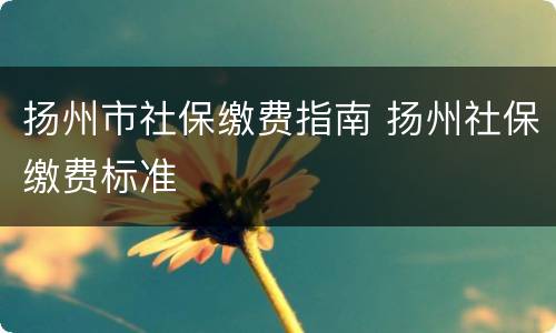 扬州市社保缴费指南 扬州社保缴费标准