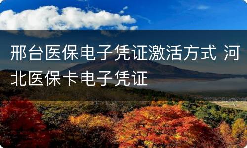 邢台医保电子凭证激活方式 河北医保卡电子凭证
