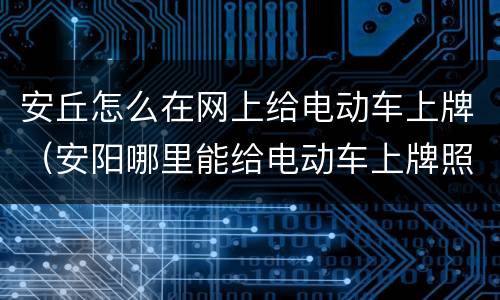 安丘怎么在网上给电动车上牌（安阳哪里能给电动车上牌照）