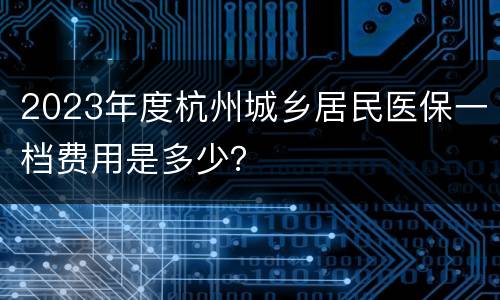 2023年度杭州城乡居民医保一档费用是多少？