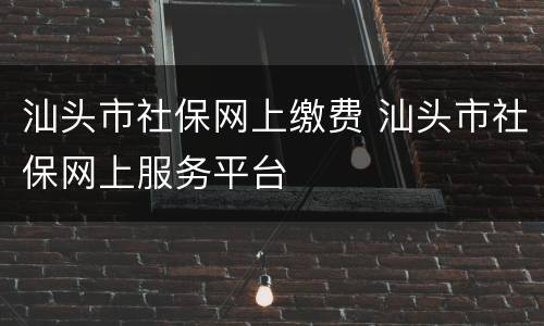 汕头市社保网上缴费 汕头市社保网上服务平台