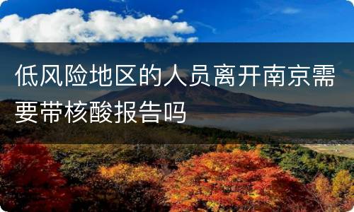 低风险地区的人员离开南京需要带核酸报告吗