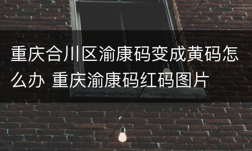 重庆合川区渝康码变成黄码怎么办 重庆渝康码红码图片