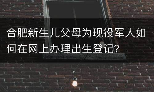 合肥新生儿父母为现役军人如何在网上办理出生登记？